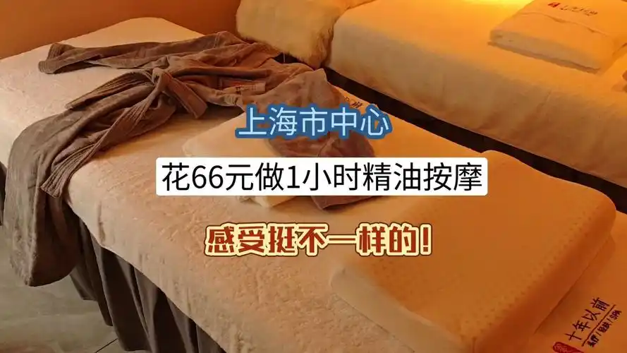 夜上海论坛_夜上海论坛交流_2026夜上海品茶工作室论坛线下见面会回顾